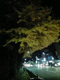 �P�P���R�O��Mon