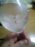 �S���X��Fri