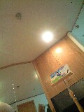 �V���Q�W��Wed