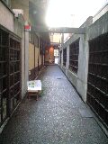 �W���Q�X��Sun