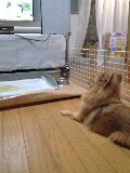 �Q���P�T��Tue