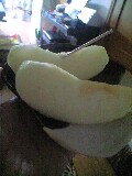 �R���P�V��Thu