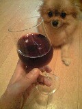 �W���Q�S��Wed