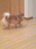 �P�P���P�S��Wed
