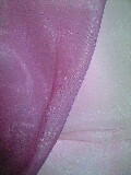 �S���X��Wed