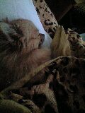 �P���P�O��Sat